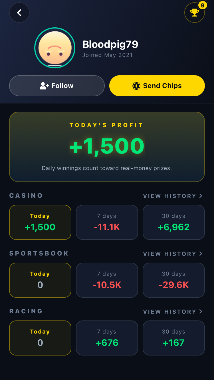 Player profile showing today's profit and per-section history